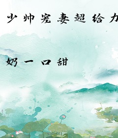 少帅宠妻超给力