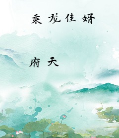 乘龙佳婿