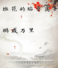 班花的贴身高手