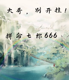 大哥，别开挂！