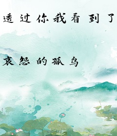 透过你我看到了全世界