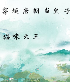 穿越唐朝当皇子