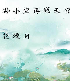孙小空再战天宫