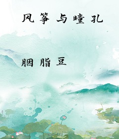风筝与瞳孔