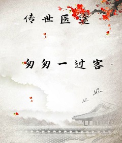 传世医途