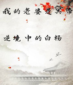 我的老婆是冥帝
