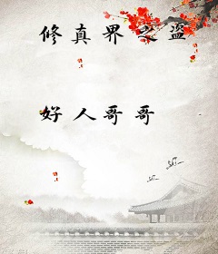 修真界之盗