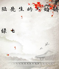 陆先生的二婚娇妻