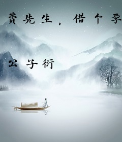 费先生，借个孕