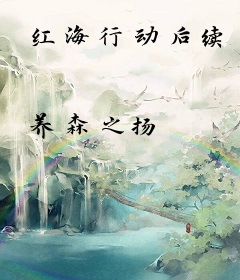 红海行动后续