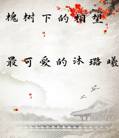 槐树下的相望