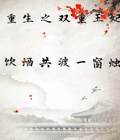 重生之双重王妃