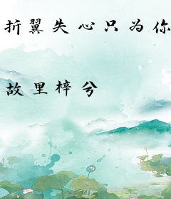 折翼失心只为你