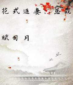 花式追妻：总裁媳妇又跑了