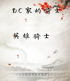 DC家的骑士