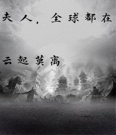 夫人，全球都在等你离婚