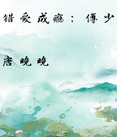 错爱成瘾：傅少追妻火葬场傅沛林婉婉