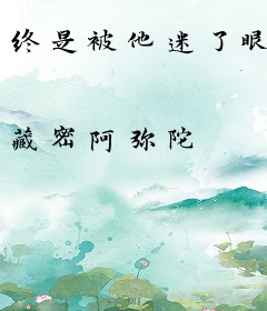 终是被他迷了眼