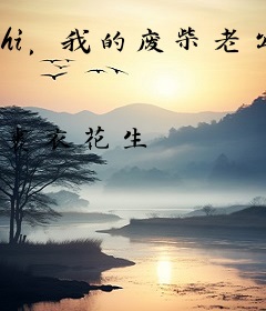 hi，我的废柴老公