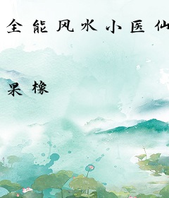 全能风水小医仙