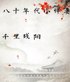 八十年代小悍妻