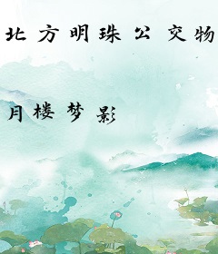 北方明珠公交物语