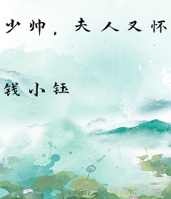 少帅，夫人又怀孕了