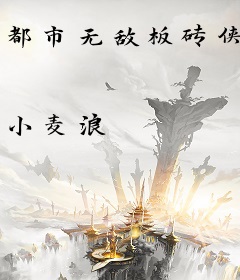 都市无敌板砖侠