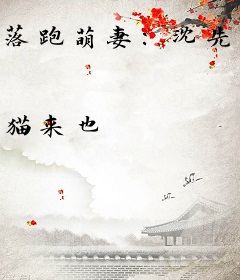 落跑萌妻：沈先生，别太坏