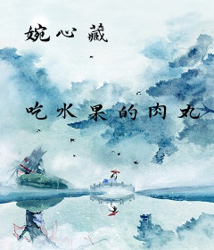 婉心藏