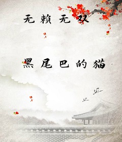 无赖无双