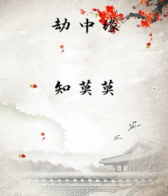 劫中缘
