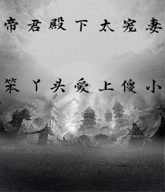 帝君殿下太宠妻