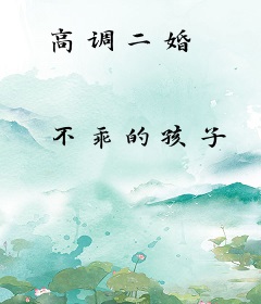 高调二婚