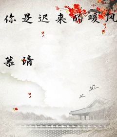 你是迟来的暖风