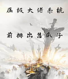 压级大佬系统