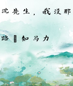 沈先生，我没那么喜欢你