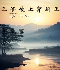 王爷爱上穿越王妃