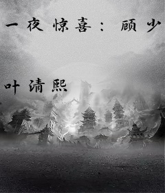 一夜惊喜：顾少，宠不停