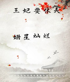 王妃要休夫