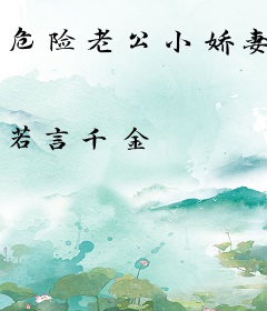 危险老公小娇妻