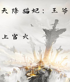 天降猫妃：王爷，请收留！