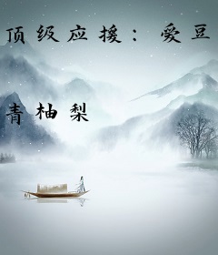 顶级应援：爱豆老婆无敌甜