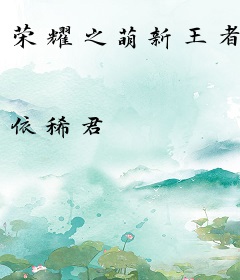 荣耀之萌新王者