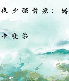 夜少强势宠：娇妻，你好甜！