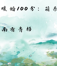 暖婚100分：萌系老公有点甜