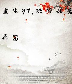 重生97,陆爷甜宠悍妻