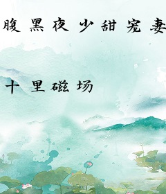 腹黑夜少甜宠妻