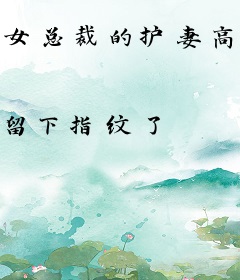 女总裁的护妻高手