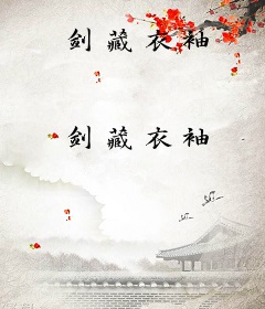 剑藏衣袖